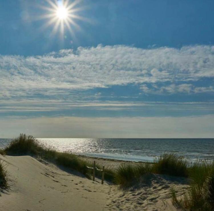 Nahe Der Ostsee *